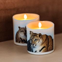 Animals and wildlife Votive candle